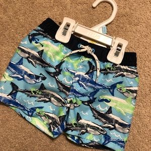 Infant Swim trunks
